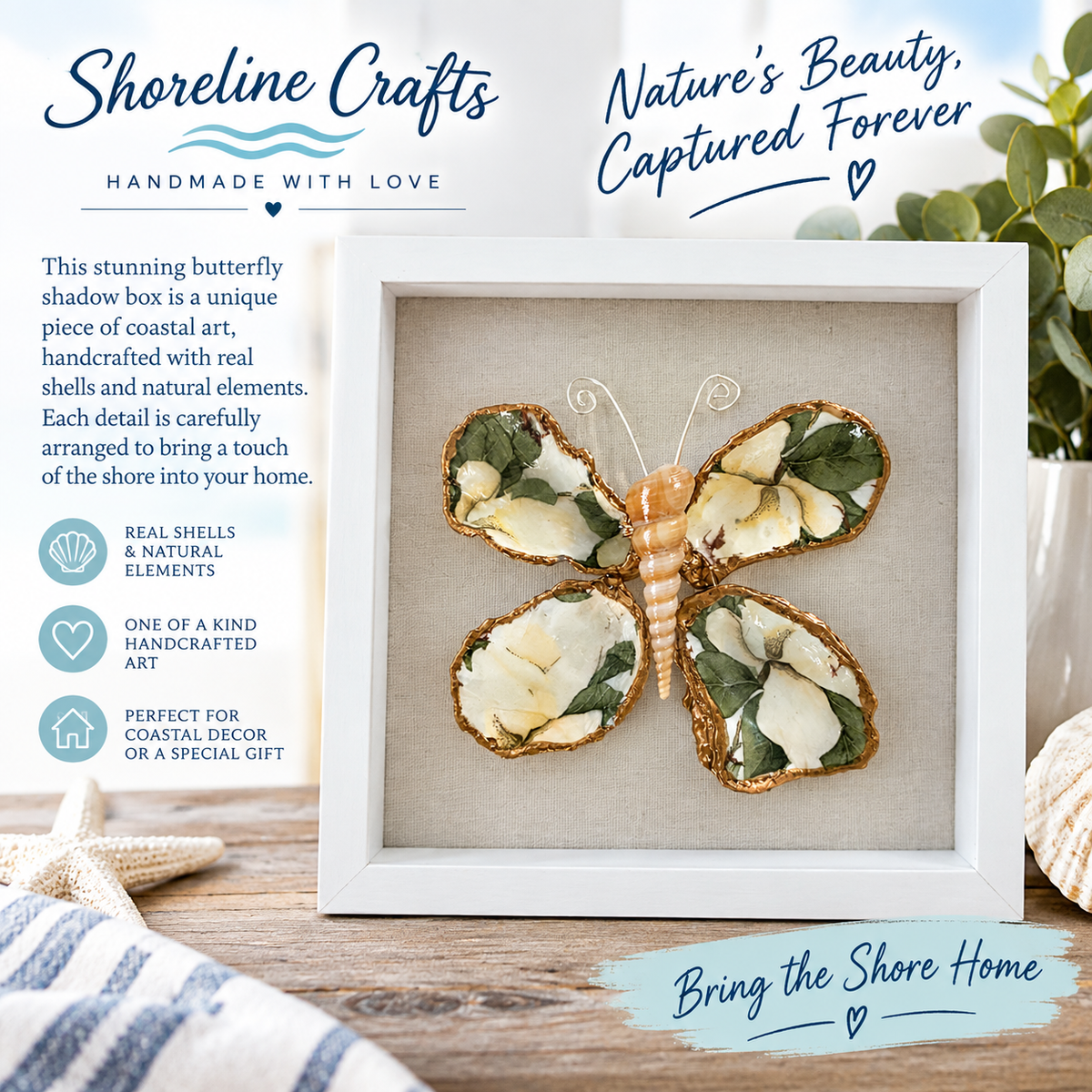 NATURE'S BEAUTY BUTTERFLY SHELLS SHADOW BOX 9"X9"