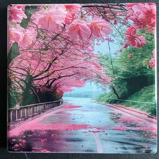 Cherry Blossoms Coaster