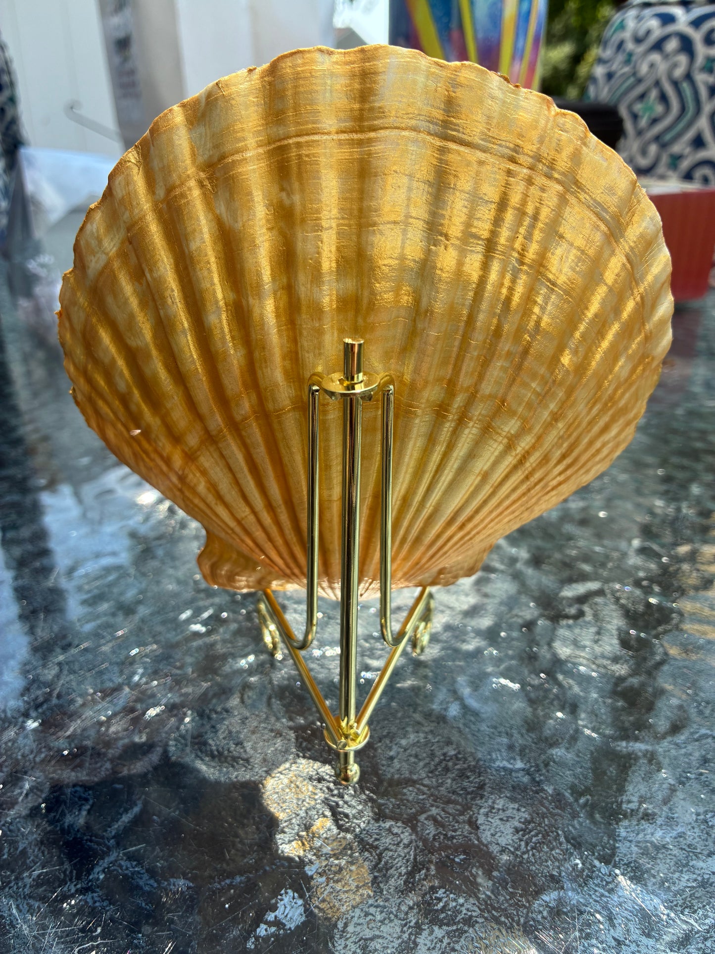 Large Scallop Shell colorful image of Girl watching the golden sunset