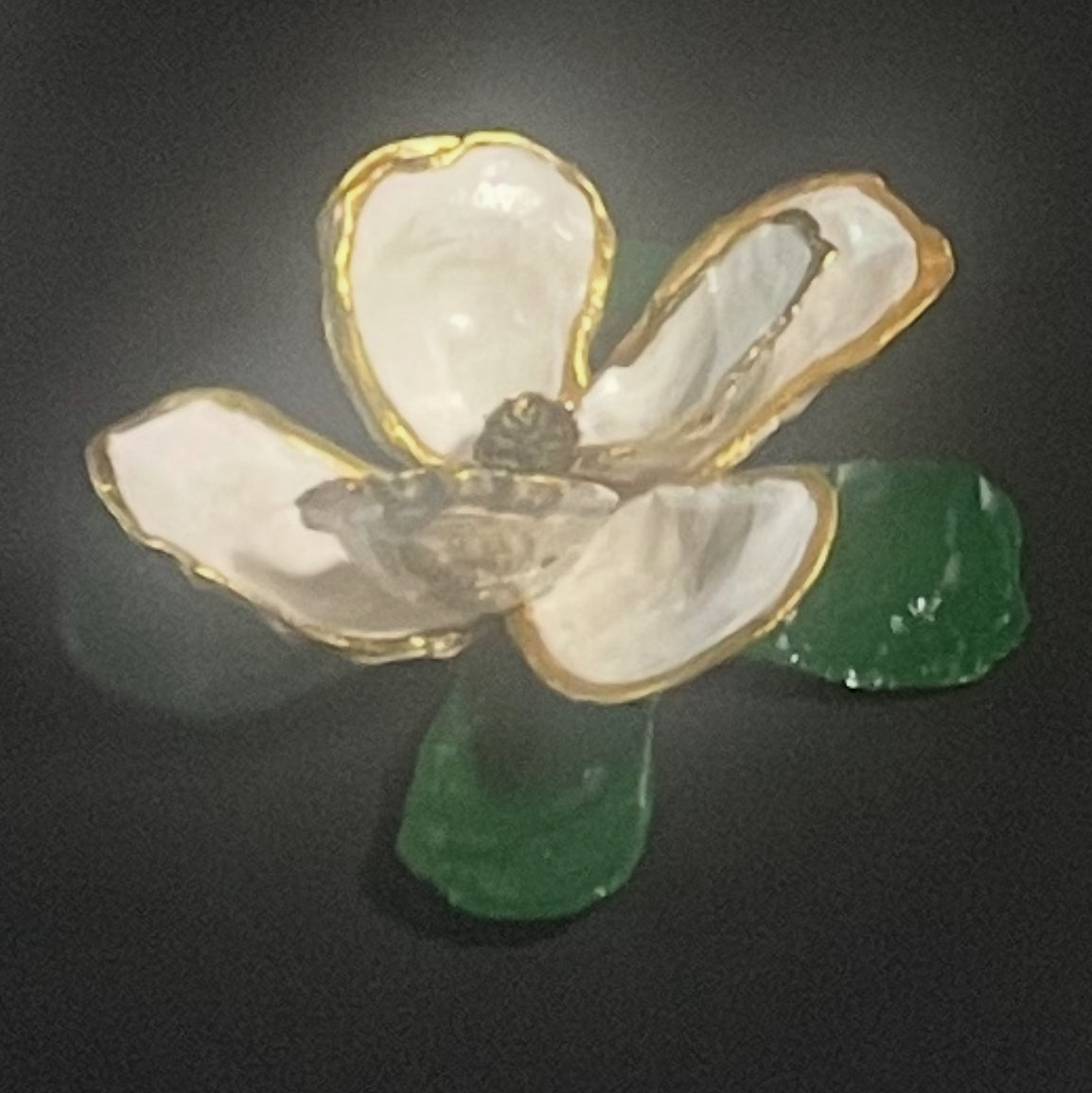 MAGNOLIA FLOWER HAND PAINTED SHELLS