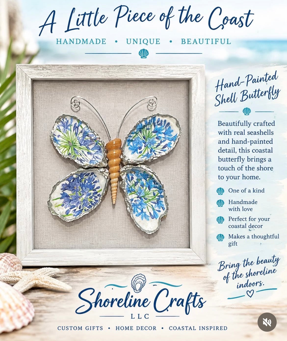 AGAPANTHUS BLUE FLORAL BUTTERFLY SHELLS SHADOW BOX