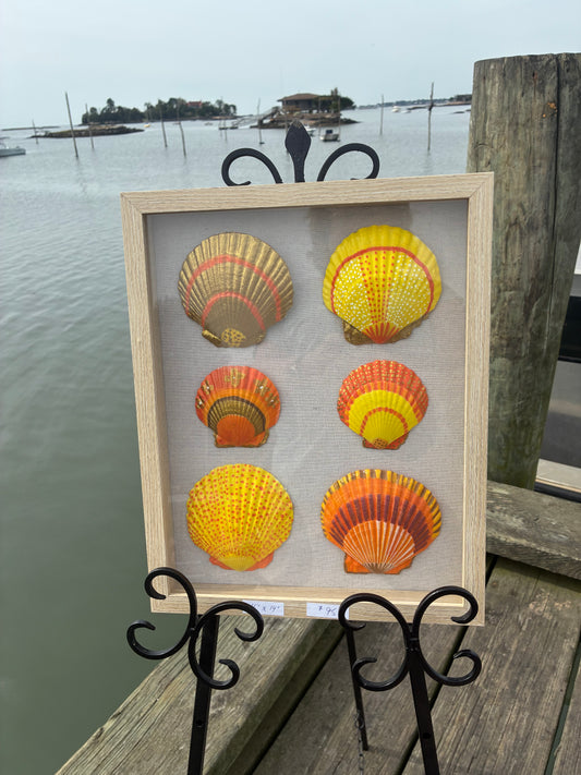 SUNSET HAND PAINTED SHELLS SHADOW BOX 11 x 14"