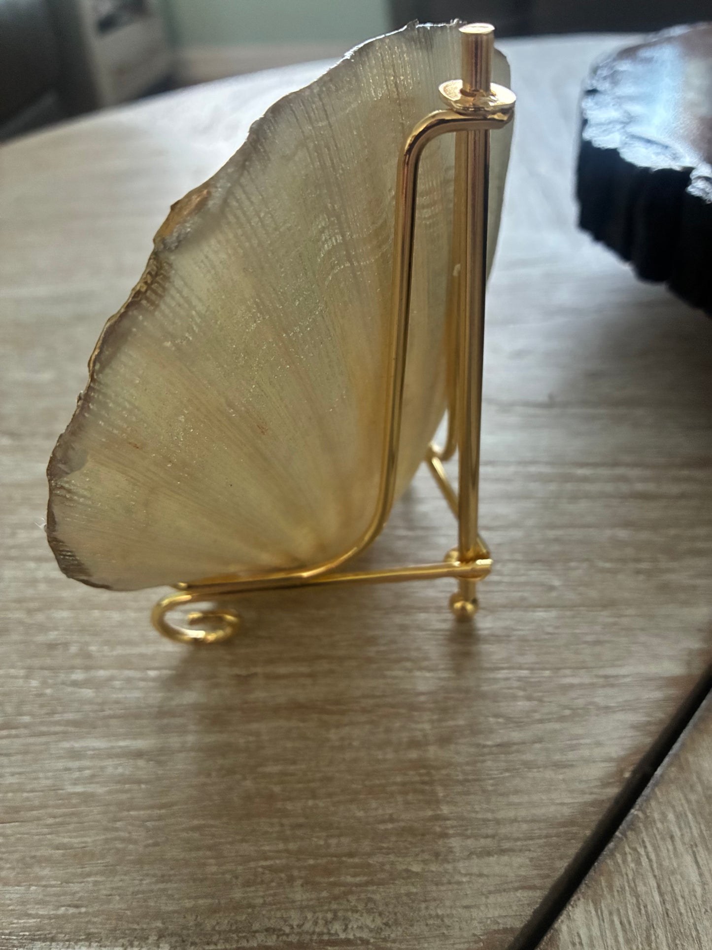 Christmas Mouse on Large Scallop Shell