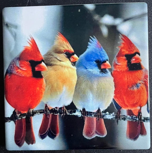 Four Birds Coasters