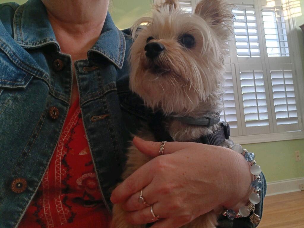 Blue crystal With White marble bracelet