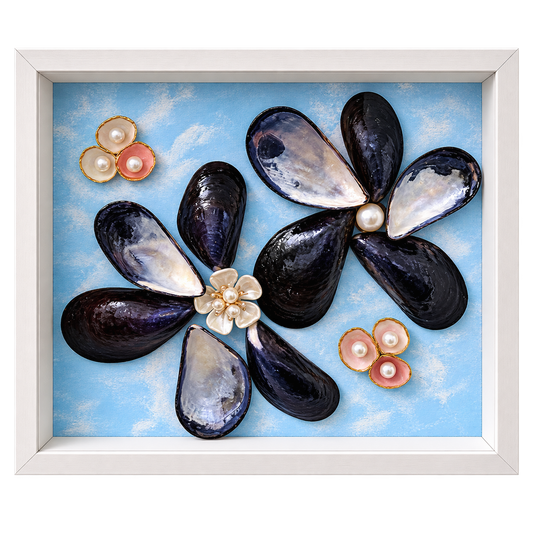 Coastal Muscle & Pearl Shadow Box