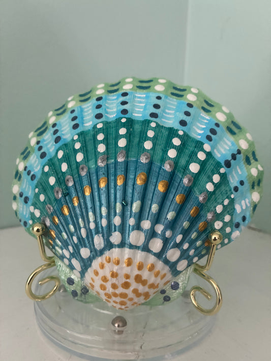 Large Scallop Shell Colors of the Ocean
