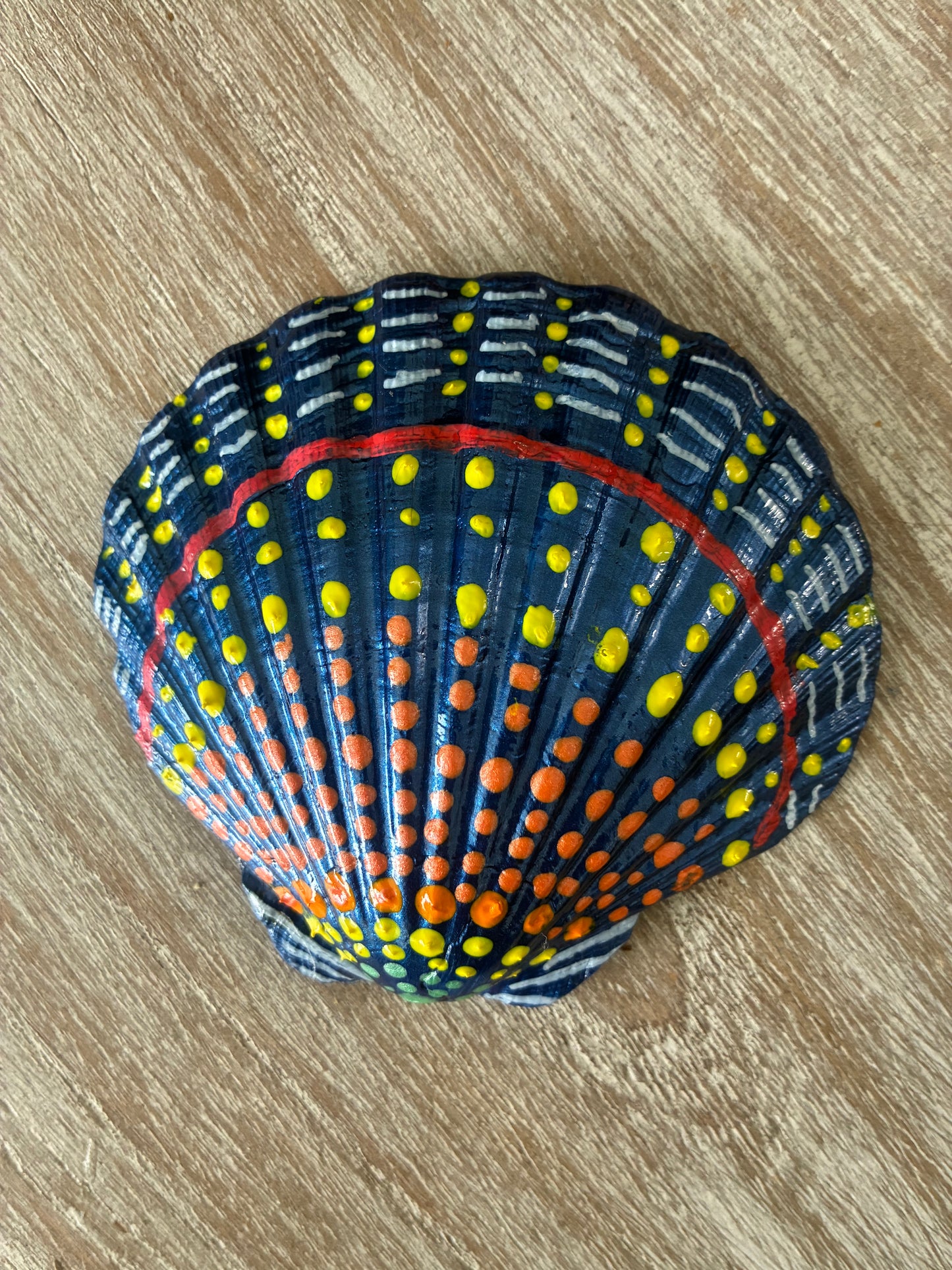 Large Scallop Shell Spalsh of colors