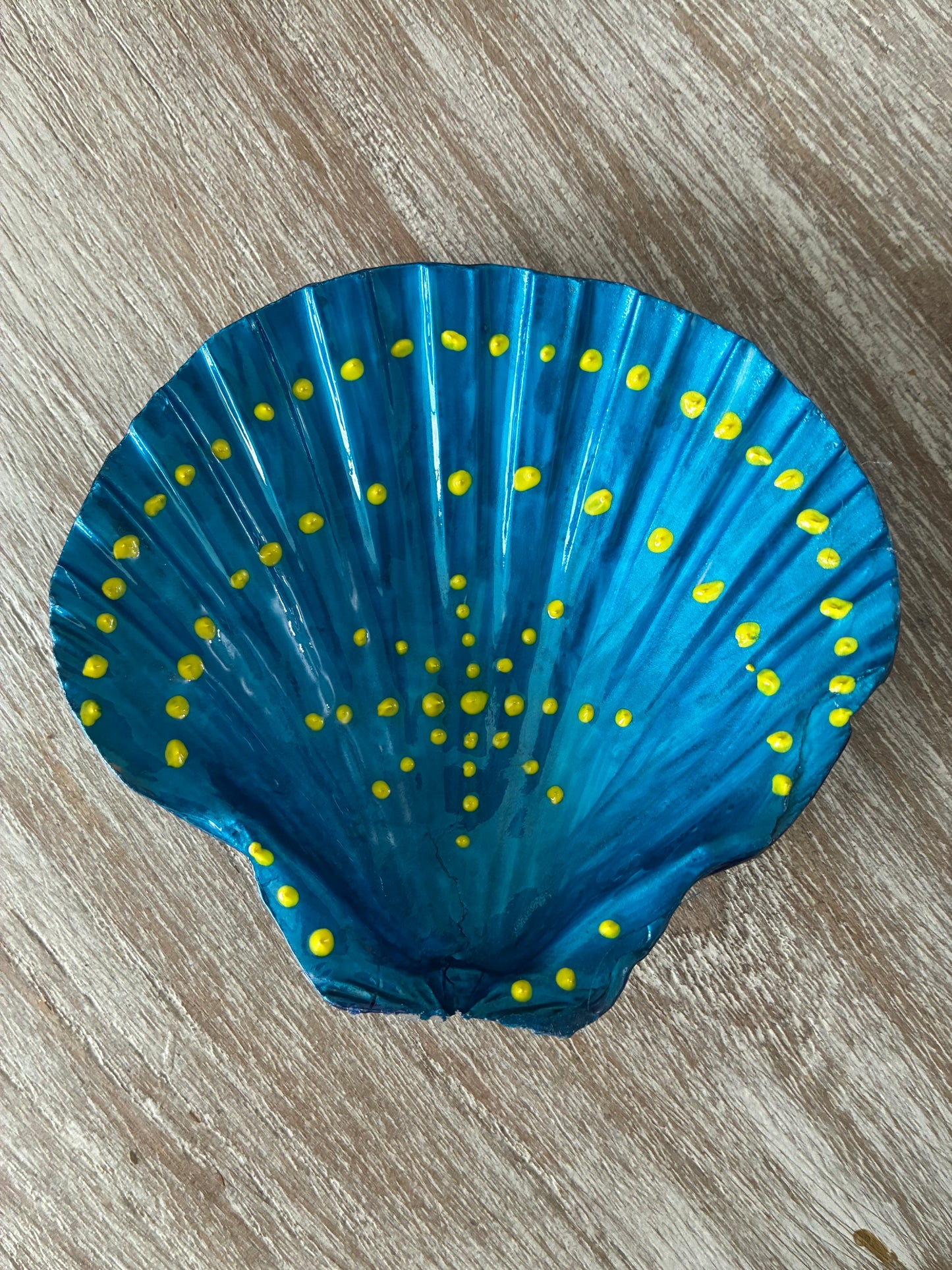 Large Scallop Shell Spalsh of colors