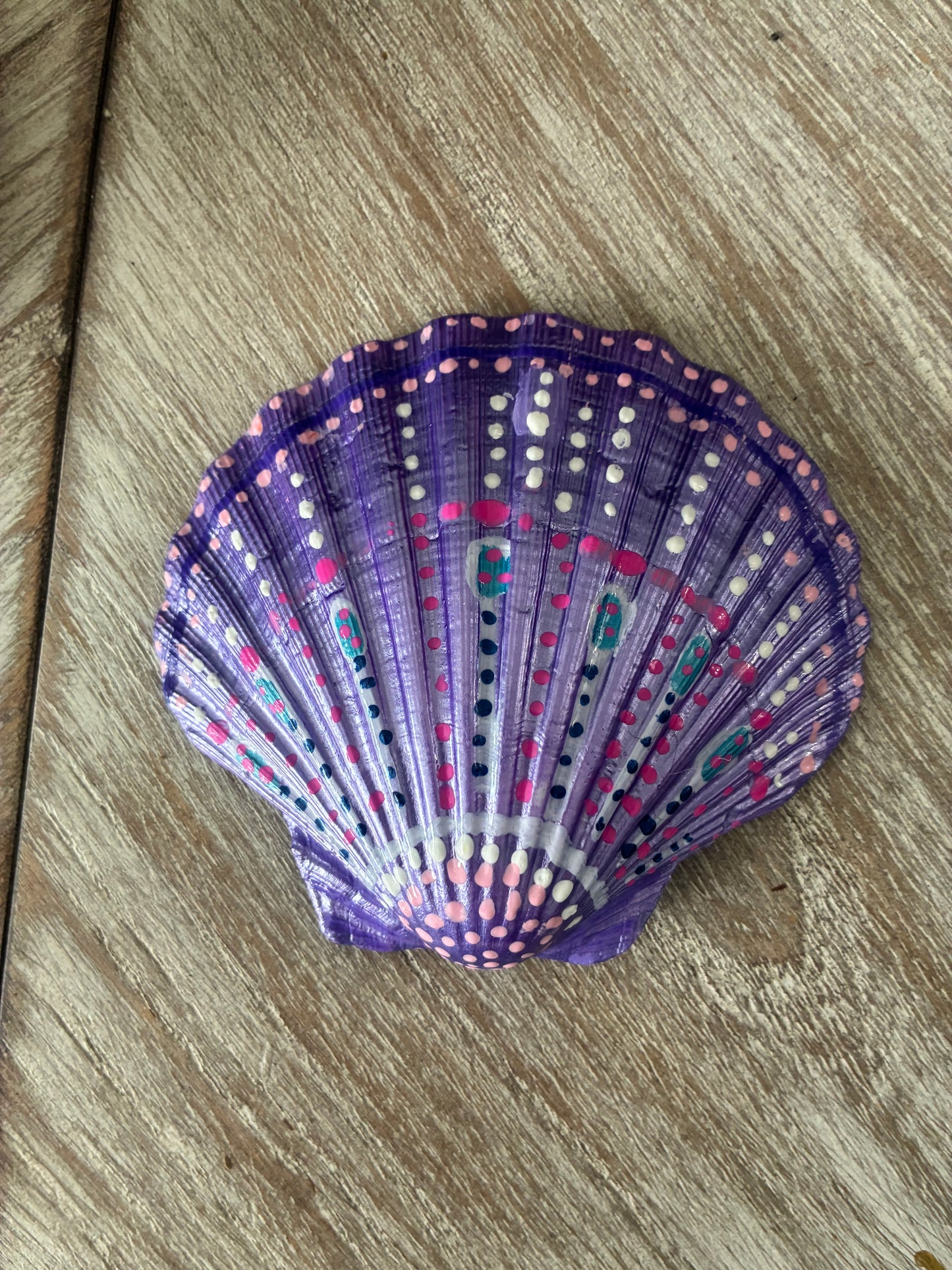 Large Scallop Shell Shades of Purple and Pink