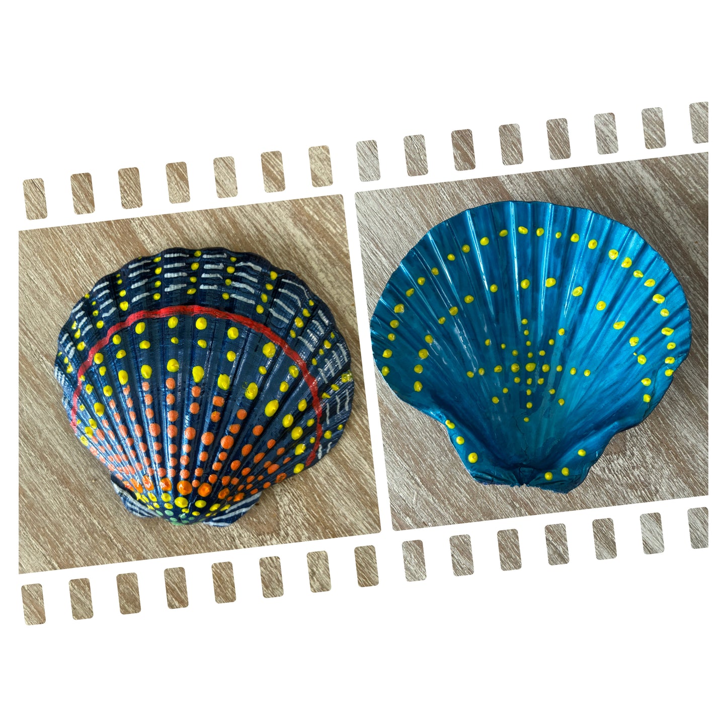 Large Scallop Shell Spalsh of colors