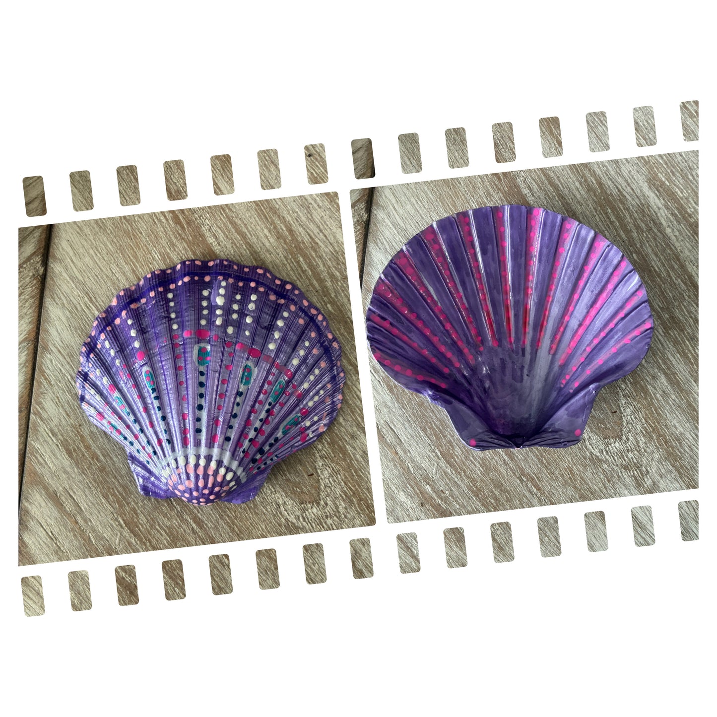 Large Scallop Shell Shades of Purple and Pink