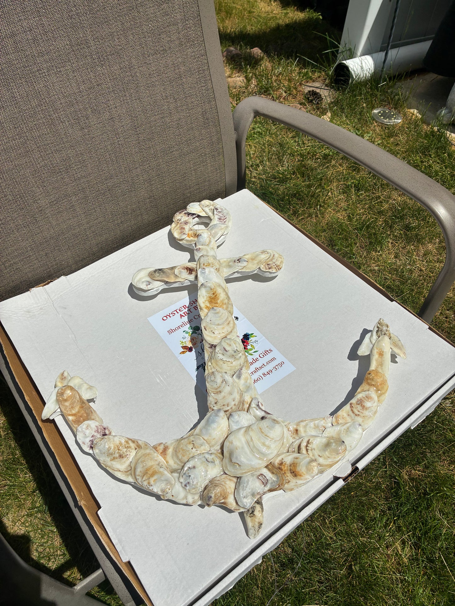 Natural Oyster Shell  LARGE ANCHOR Artwork