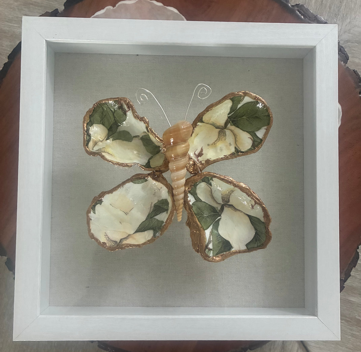 NATURE'S BEAUTY BUTTERFLY SHELLS SHADOW BOX 9"X9"