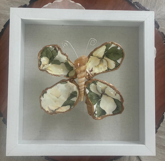 NATURE'S BEAUTY BUTTERFLY SHELLS SHADOW BOX 9"X9"