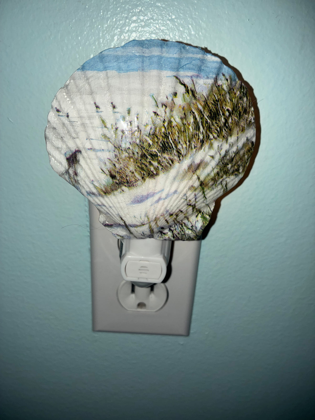 Scallop Shell Handcrafted Night Light