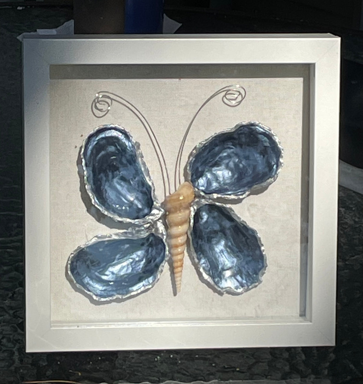 METALLIC  BLUE  BUTTERFLY SHELLS SHADOW BOX