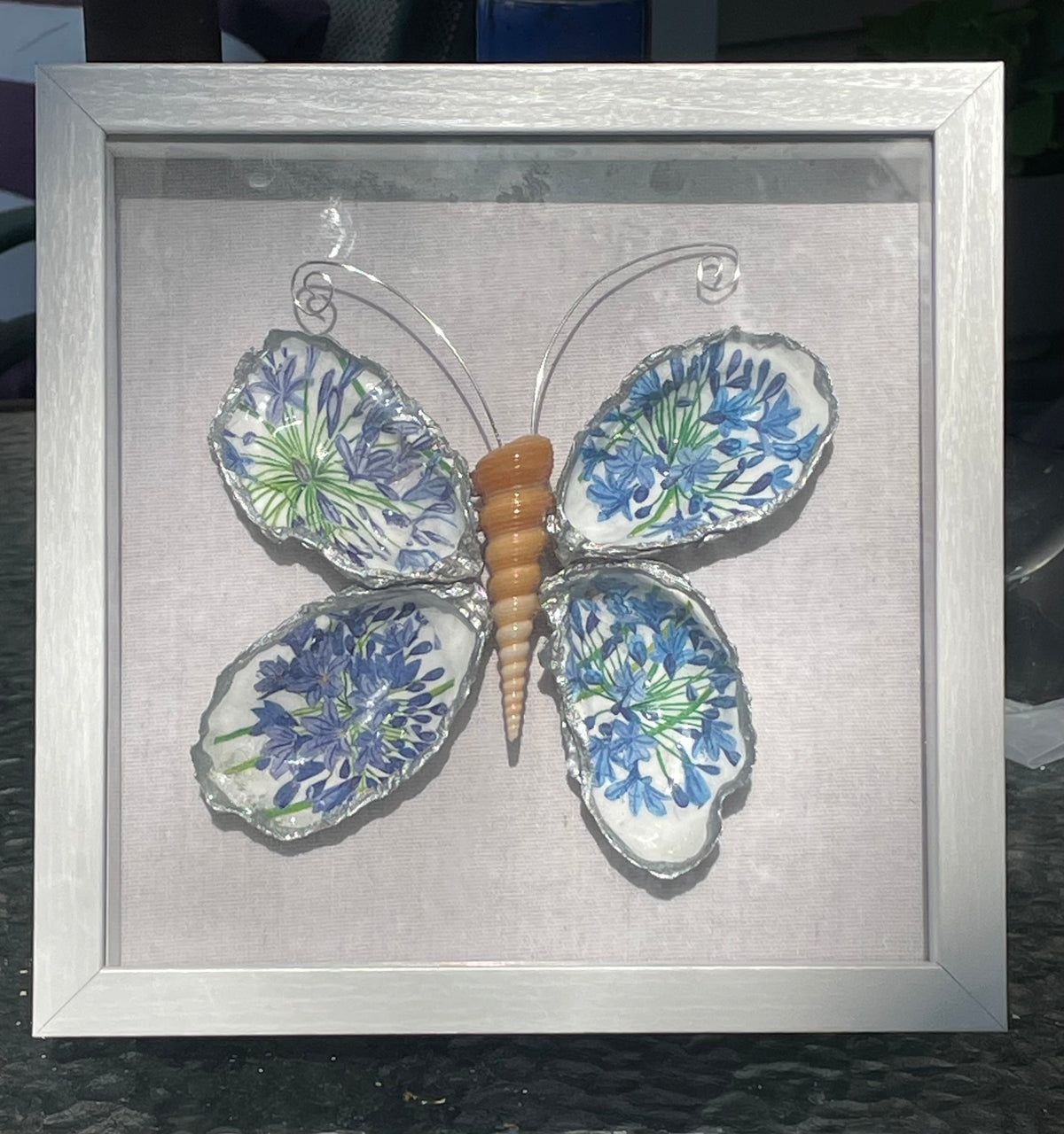AGAPANTHUS BLUE FLORAL BUTTERFLY SHELLS SHADOW BOX