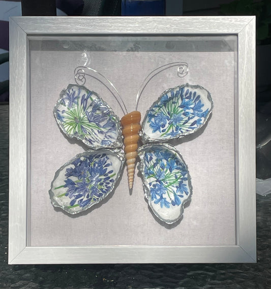 AGAPANTHUS BLUE FLORAL BUTTERFLY SHELLS SHADOW BOX