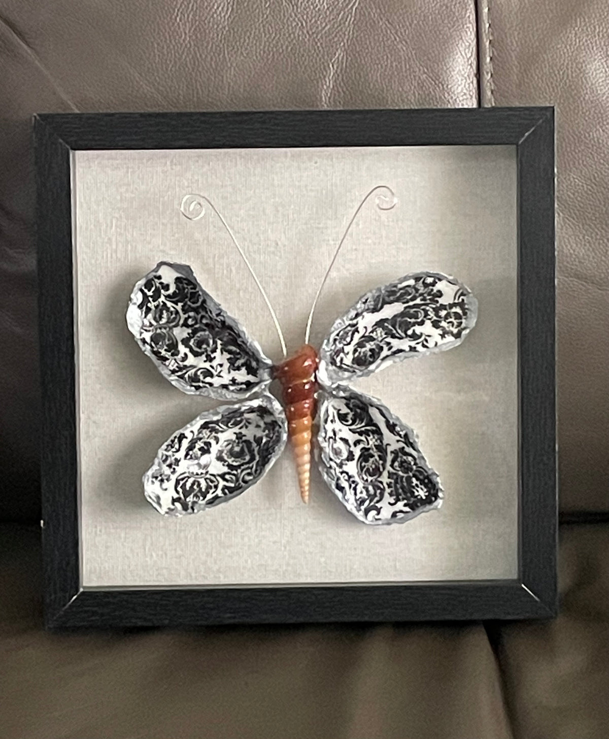 BLACK & WHITE  BUTTERFLY OYSTER SHELLS SHADOW BOX