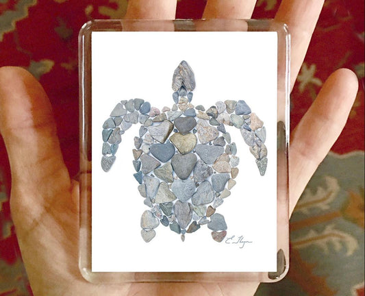 Turtle Magnet